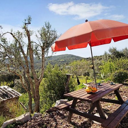 בית הארחה סאו בראס דה אלפורטל 	Casa Tibagota מראה חיצוני תמונה